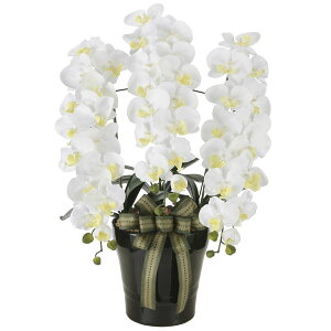 A[gt[  G} ̊y CӒW 2291A200