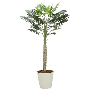 A[gO[ tFCNO[ lHϗtA G} ̊y Z[1D8 2312A300