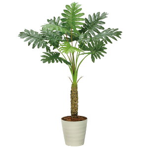 A[gO[ tFCNO[ lHϗtA G} ̊y Z[1D25 2341A170