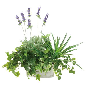 A[gO[ tFCNO[ lHϗtA G} ̊y 񂹐Ax_[ 2349A100