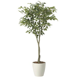 A[gO[ tFCNO[ lHϗtA G} ̊y tBJXc[1.65 2435A290