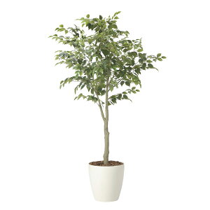 A[gO[ tFCNO[ lHϗtA G} ̊y tBJXc[1.85(g) 2438A430