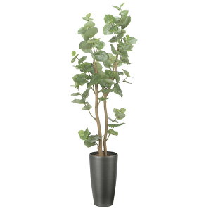 A[gO[ tFCNO[ lHϗtA G} ̊y XV[O[v1.6 2518A350