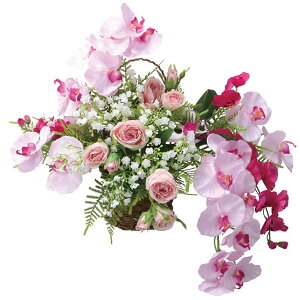 A[gt[ tFCNO[  G} ̊y Ǌ|GXt@m 2553A140