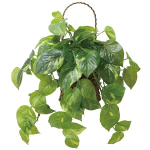 A[gO[ tFCNO[ lHϗtA G} ̊y Ǌ|tbV|gX 2599A65