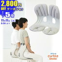 【 姿勢サポートチェア 】カーブルチェア グランド グレー 姿勢サポートチェア 骨盤矯正 椅子に置くだけ 姿勢が良くなる椅子 姿勢 に 改善 する 姿勢矯正 椅子 背筋が伸びる 腰が楽に 椅子の上に置く 軽量 骨盤矯正 背すじ Ablue 公式 グランド グレー