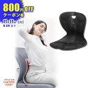 【 姿勢サポートチェア 】 カーブルチェア コンフィー 姿勢サポートチェア 骨盤矯正 椅子に置くだけ 姿勢が良くなる 椅子 姿勢改善 姿勢矯正 背筋が伸びる 腰が楽に 椅子の上に置く Ablue 公式 カーブルチェア コンフィー 柔らかめ　ブラック