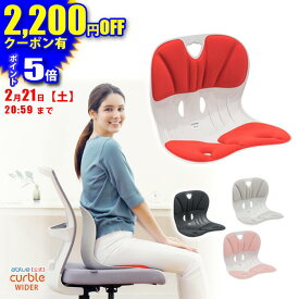 【 ablue 公式 カーブルチェア 】 姿勢サポートチェア カーブルチェアワイド 骨盤矯正 椅子に置く 骨盤矯正 姿勢が良くなる 腰が痛くならない 姿勢改善 姿勢矯正 背筋が伸びる 腰が楽に 軽量 背すじ 固め しっかりサポート カーブルチェア ワイド