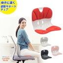 【 姿勢サポートチェア 】カーブルチェア ワイド 姿勢サポートチェア 椅子 骨盤矯正 椅子に置くだけ骨盤矯正 姿勢が良…