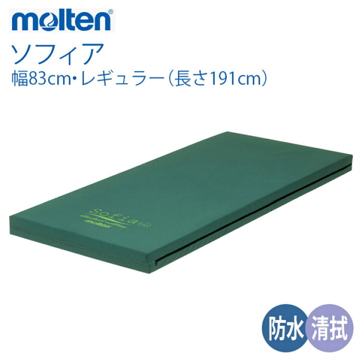 楽天市場】【molten：モルテン】リバーシブルウレタンフォーム 