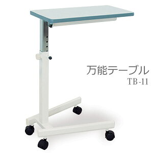 ycxbh쏊z\e[u / TB-11y[J[zԕiEssypizxbhTChe[u/H//׋yʔ́z