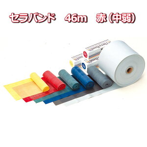 yAreB[YEPAlbgzZoh@nrg[jOɁ@46m@ԁij / T11100yԍ݌ɁzEzypiz/pi/hV̓/Mtg/v[g