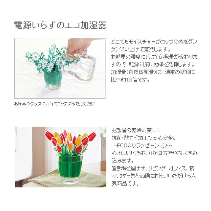 エレメンツ どこでもモイスチャー ポピー