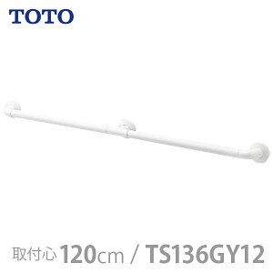 yTOTOzCeAEo[ FV[Y I^CviԎx^Cvj \tgbV^CvE1200mm / TS136GY12y[J[zԕiEssypizZ/tH[