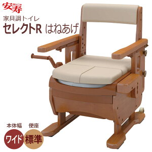 yAz ƋgC ZNgR ͂˂ W֍iChj / 533-871yԍ݌ɁzEzypizʈڏɓK͂ˏグЂ||[^ugCy