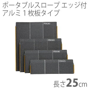 yC[XgACzԈ֎qp1iX[v |[^uX[vPEKV[YiGbWtA~1^Cvj PEK025 25cm݌Ɍy[J[zԕisypiz