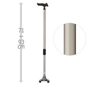 ytWz[z邪4|CgXebL XeJ[ / WB3826 =ې=yԍ݌ɁzEzypizpi/_XebL/4_yʔ́z