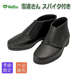 yEFt@zБ̔ ᓹ@amp@XpCNt / 009708݌Ɍyԍ݌ɁzEzypiz/piyʔ́z