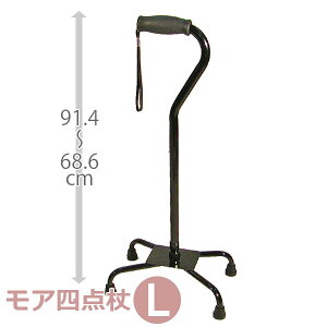 yEFPAoNzAl_ LTCY / WC5623=ې=yԍ݌ɁzEzypiz_/4_/s⏕yʔ́z