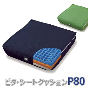 yt@fB[izs^EV[gNbVP80@ilCr[EO[) / PT005NVEPT005GRyԍ݌ɁzEzypiz/piyʔ́z