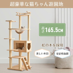 Lbg^[ Lbg^[X^WA FD  u  萫 ϋv Lbg^[ ؐ R ܂Ƃ{[ L^[ LbgnEX L Lpi Lxbh 