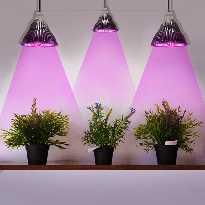 楽天市場】最新版 高輝度 植物育成ライト 育苗ライト LED ダクトレール 
