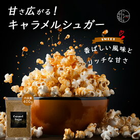 キャラメルシュガー キャラメルポップコーン用 フレーバー シーズニング 砂糖 caramel popcorn用 お菓子 スイーツ 時短 簡単 400g