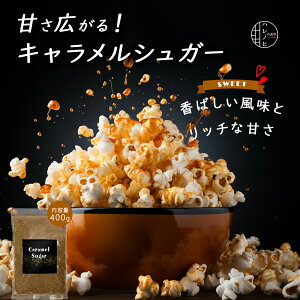 �L���������V���K�[ �L���������|�b�v�R�[���p �t���[�o�[ �V�[�Y�j���O ���� caramel popcorn�p ���َq �X�C�[�c ���Z �ȒP 400g