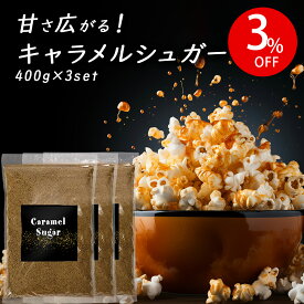 キャラメルシュガー キャラメルポップコーン用 フレーバー シーズニング 砂糖 caramel popcorn用 お菓子 スイーツ 時短 簡単 400g 3個セット