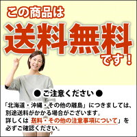 3つ折り硬質ウレタン点で支えるマットレスシングルサイズ厚み8センチ体圧分散点支えるシングル三つ折り日本製送料無料(一部地域除く)【点で支えるS】