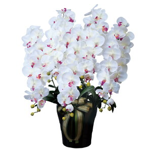 G} ̊yCӒ5{W/AByA[gt[  zibsOsj