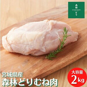 {錧Y Xтǂ {ނ˓ 2kg Ⓚ { Ƃ  Xь{ {  ނ˓ ނ˓ Ɩp   ^pbN Xь{ l wV[ ς _CGbg 炠 g 