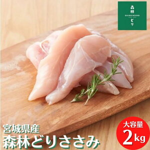 {錧Y Xтǂ  2kg Ⓚ { Ƃ  Xь{ Ɩp   ^pbN {  TT~ wV[ _CGbg ybgt[h hbNt[h Y Y tC `