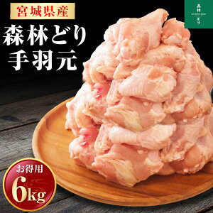 {錧Y Xтǂ H 6kg i 2kg×3P jⓀ { Ƃ  Ɩp   ^pbN H H {H {H H H oⓀ  Y Y 炠