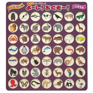 y ]g  Q[ z ]g{[hQ[ [I[I  NG[V m  m  P ȒP P N qǂ 샌NG[V pi {[hQ