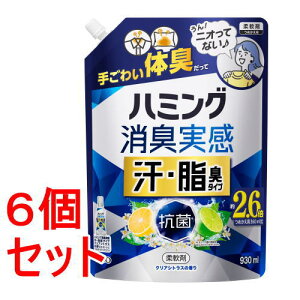 sZbg̔t ԉ n~OL@EL^Cv@NAVgX@930ml×6Zbg