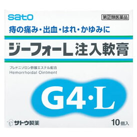 【第(2)類医薬品】佐藤製薬　ジーフォーL　注入軟膏　(10個)