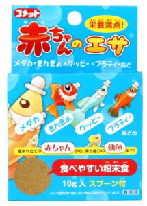 CgXC@Rbg@Ԃ̃GT@(10g)@@_J@Obs[@GT