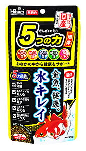 L[@Ђ@񂬂̂@5̗́@́@(70g)@@GT