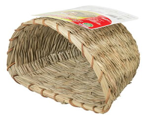 Xh[@sbR[m@̂˂@ܓ@P-166@(1)@ETM@Q