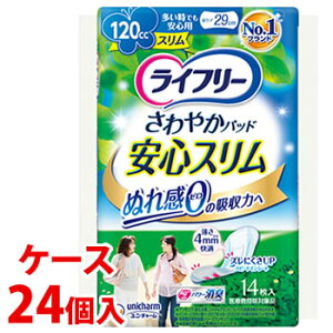 sP[Xt@j`[ Ct[ ₩pbh łSp 120cc (14)×24 APApbh@yÔTΏەiz