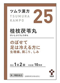 【第2類医薬品】ツムラ　ツムラ漢方　桂枝茯苓丸料エキス顆粒A　10日分　(20包)　けいしぶくりょうがん　婦人薬　生理痛