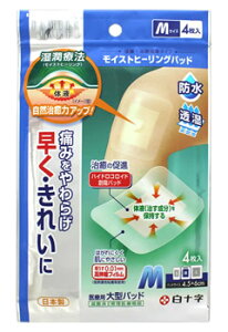 \@t@~[PA@FC@CXgq[Opbh@MTCY@(4)@nChRCh@Jnp@yǗË@z