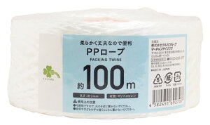 炵Y PP[v 100m (1) 