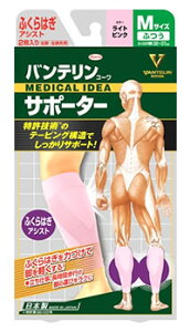 a oeR[ T|[^[ ӂ͂AVXg ӂ MTCY CgsN (2) ӂ͂p