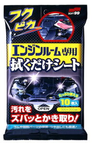 \tg99 tNsJ GW[p@V[g (10) ԗpi V[g N[i[