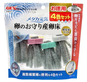 WFbNX _JC ̂Y 4FZbg (1Zbg) Y Ϗ܋pi GEX