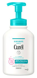 花王 キュレル 薬用 泡ボディウォッシュ 本体 (480mL) curel　【医薬部外品】