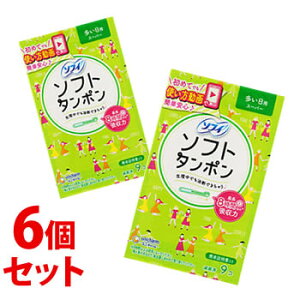 sZbg̔t@j`[ \tB \tg^| X[p[ p (9)×6Zbg pi@yʈË@z