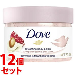 sZbg̔t@j[o _ N[~[XNu UNVAo^[ (298g)×12Zbg Dove
